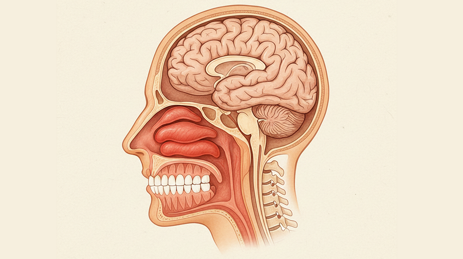 Vertigo (Baş Dönmesi)