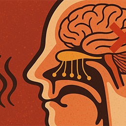 Koku Alma Bozuklukları